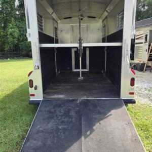 2000 CC 2 Horse Gooseneck