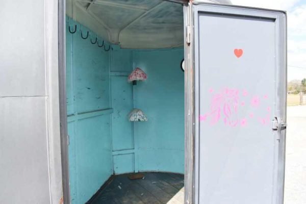 2007 WW 2HSL 2 Horse Trailer 2007 WW 2HSL 2 Horse Trailer