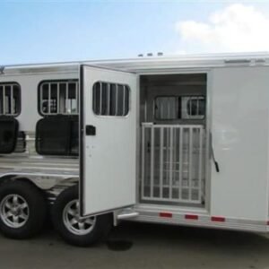 2019 Cimarron Showstar 6 pen