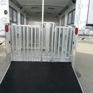 2019 Cimarron Showstar 6 pen