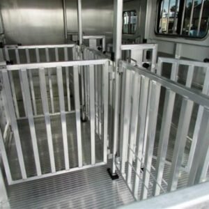 2019 Cimarron Showstar 6 pen