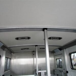 2019 Cimarron Showstar 6 pen