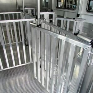 2019 Cimarron Showstar 6 pen