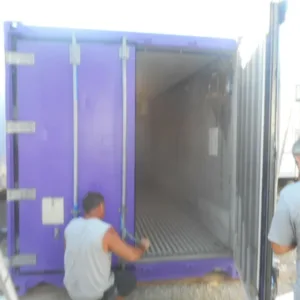 20FT Mobile Cold Storage Container – Freezer/Cooler Model - First Choice Shipping Containers
